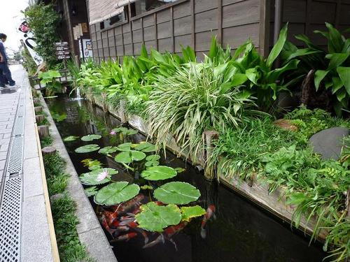 031縮小2.jpg
